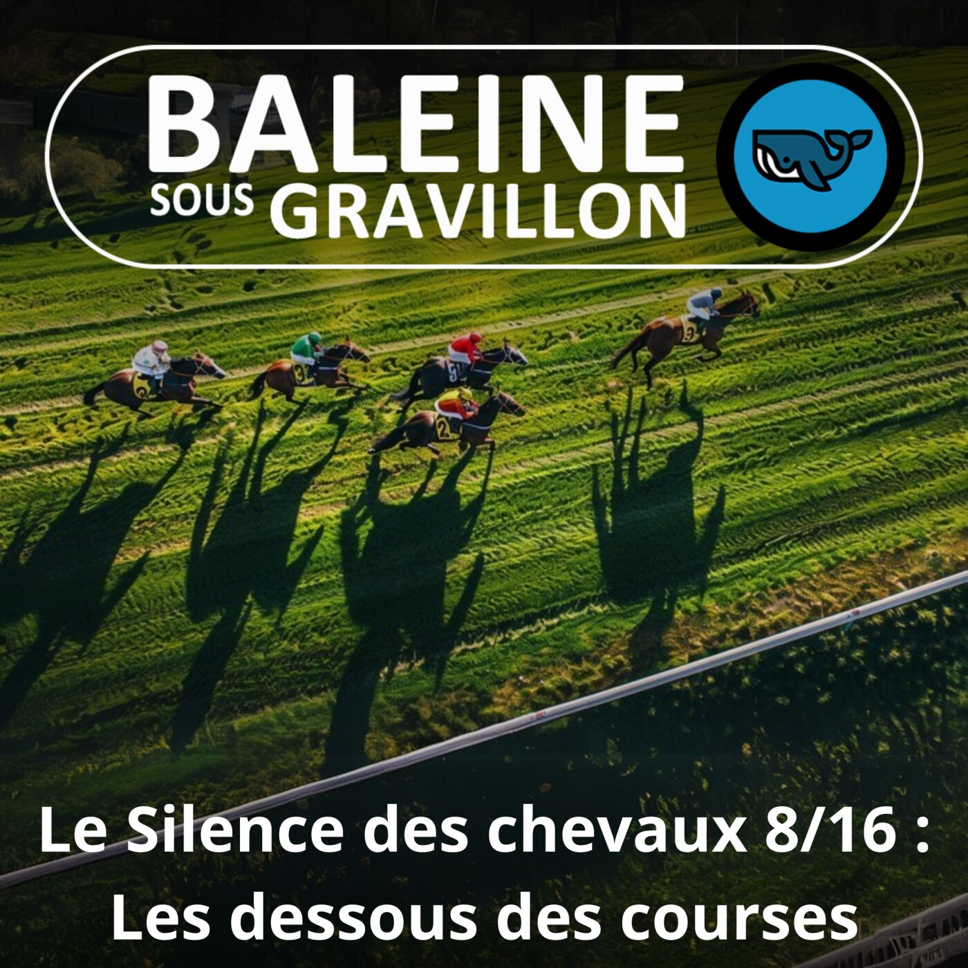 S06E42 Le Silence des chevaux 8/16 : L'enfer et les dessous des courses hippiques