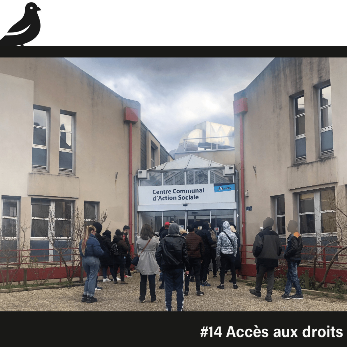 La bonne cage