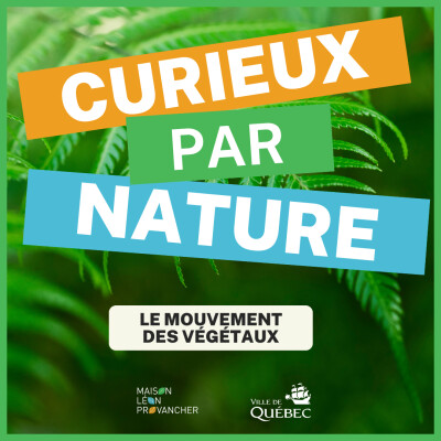 Curieux par Nature: Le mouvement des Plantes cover