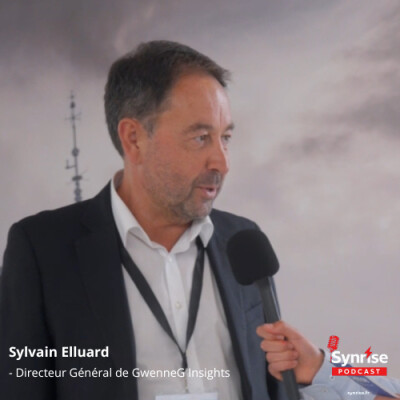 Sylvain Elluard - Directeur Général de GwenneG Insights cover