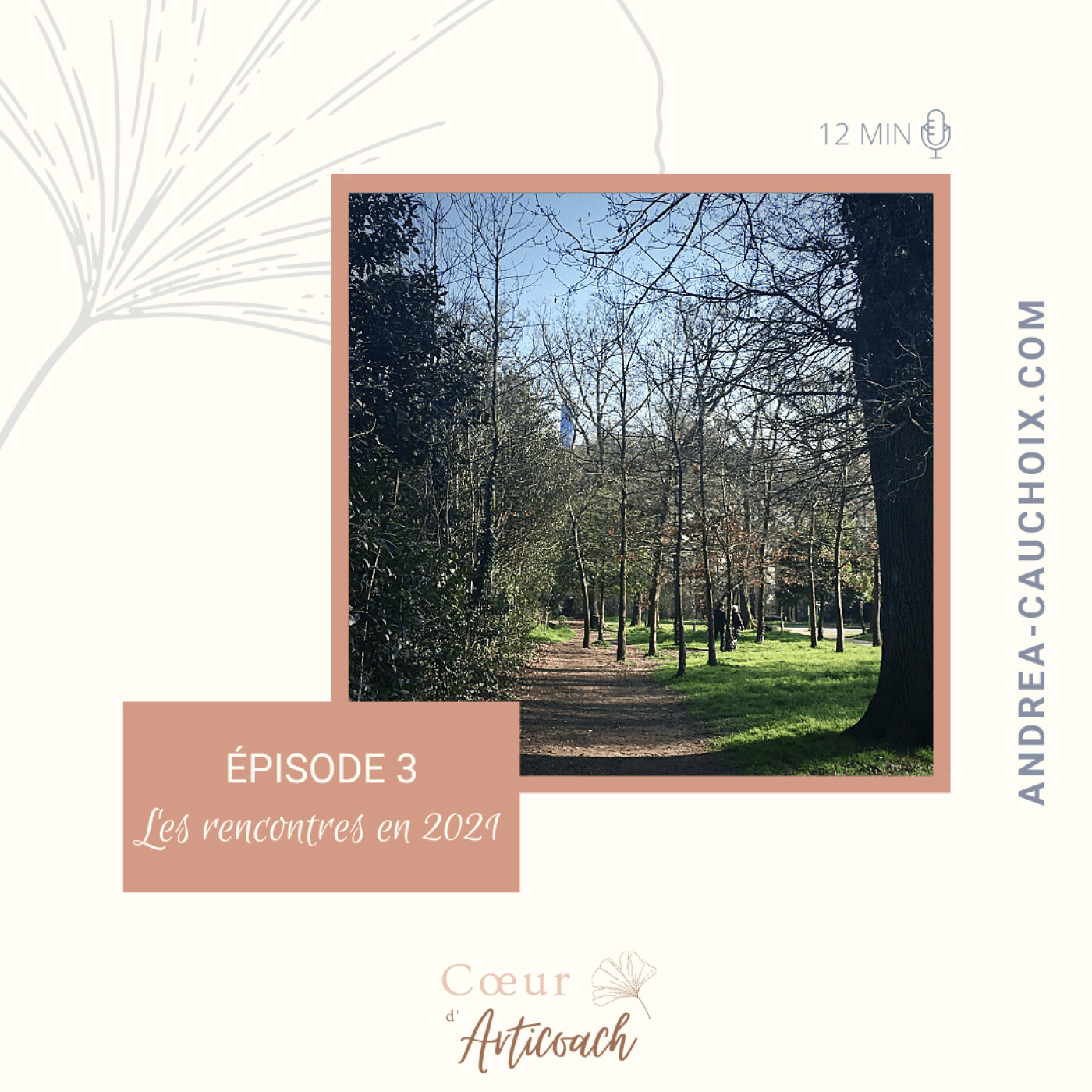 Cœur d\'articoach