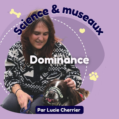 Épisode 1 : La dominance chez le chien cover