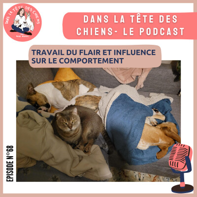 Travail du flair et influence sur le comportement de votre chien cover