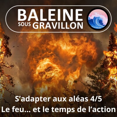 S08E04 S'adapter aux aléas 4/5 : Après les feux, le temps de l'action (Éric Daniel-Lacombe) cover