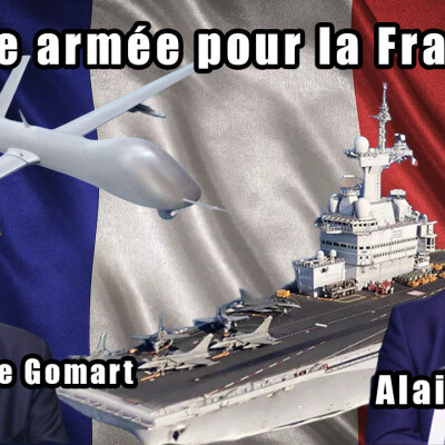 Quelle armée pour la France ? cover