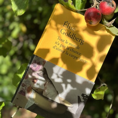 Elise Goldberg -  Tout le monde n'a pas la chance d'aimer la carpe farcie, Editions Verdier <Roman> cover