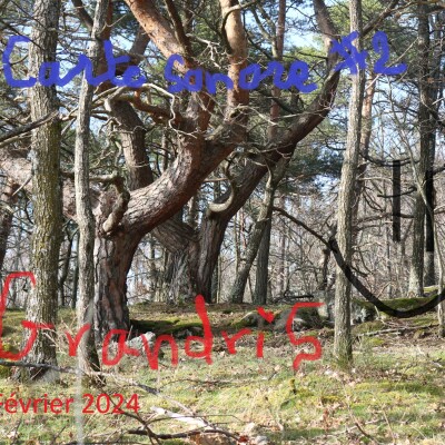 Grandris - carte sonore #2 cover