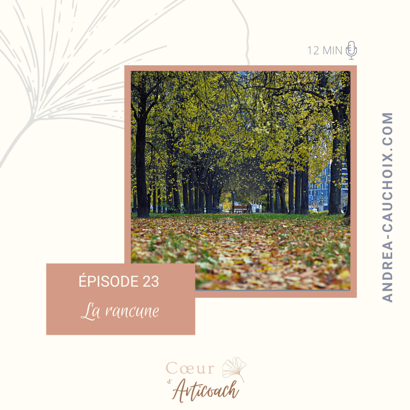 Cœur d\'articoach
