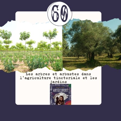 Les arbres et arbustes tinctoriaux dans l'agriculture tinctoriale et les jardins cover