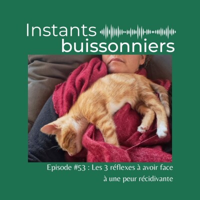 Episode 53 : Les 3 réflexes à avoir face à une peur récidivante cover