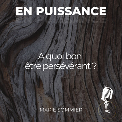 A quoi bon être persévérant ? cover