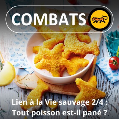 S01E84 Le sourire du pangolin 2/4 : Tous les poissons ne sont pas des rectangles panés (Philippe Grandcolas, biologiste) cover