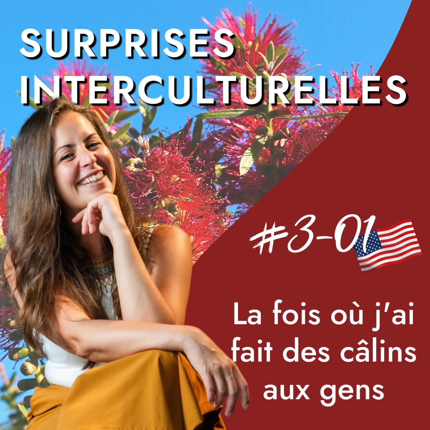 USA - La fois où j'ai fait des câlins aux gens - Vivre à l'étranger, saluer et culture américaine episode artwork
