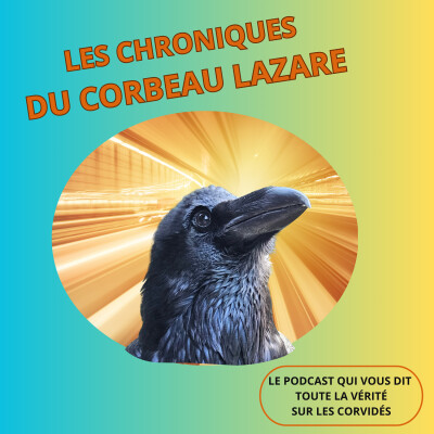 Oui, les corbeaux prédisent l'avenir ! cover