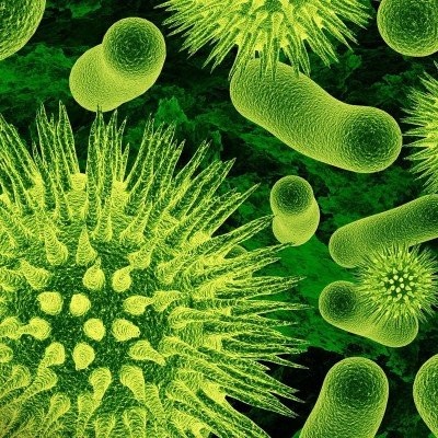 S02E96 Virus et évolution 3/4 : la guerre ou la coloc ? Samuel Alizon (chercheur) cover