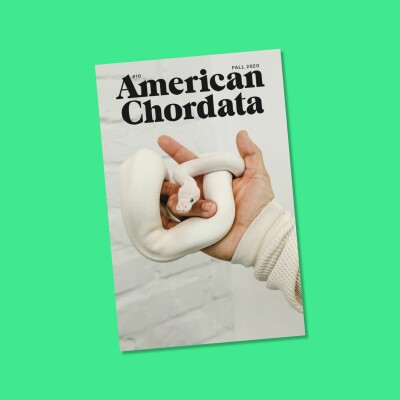 Taking over American Chordata's literary legacy cover