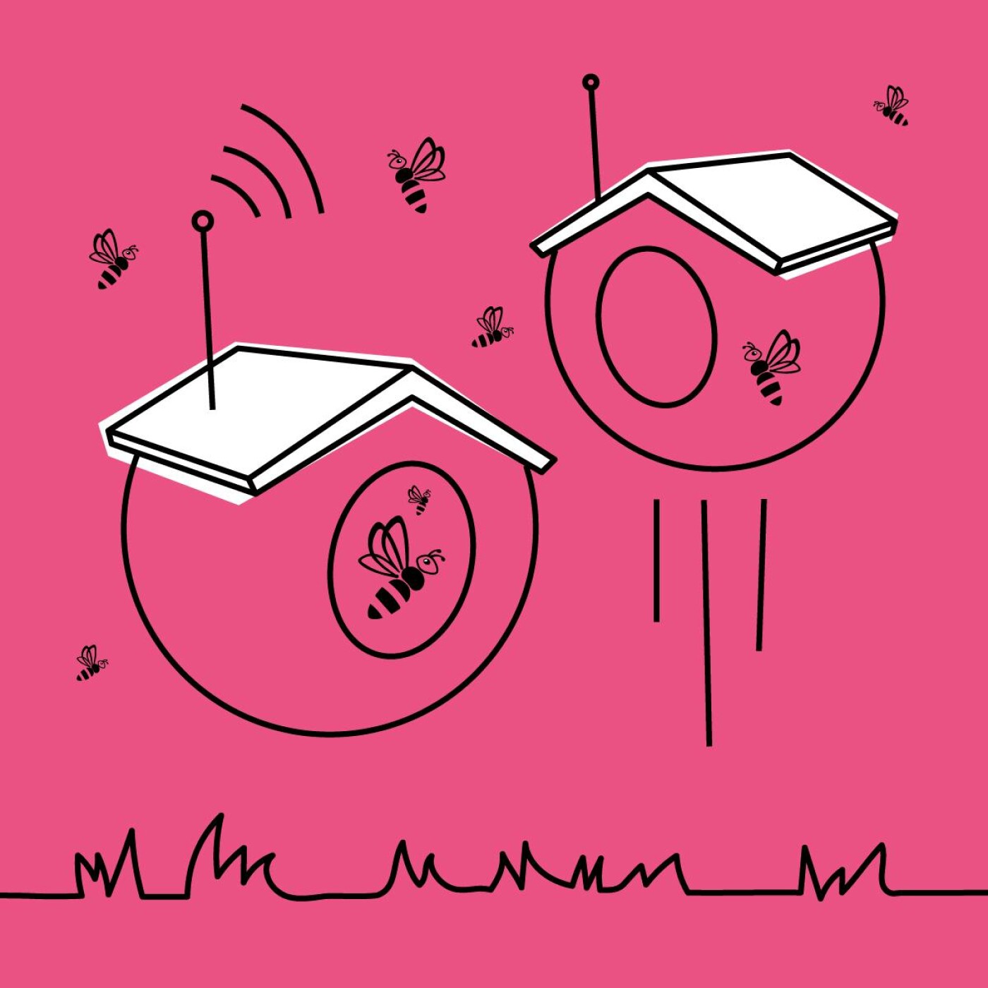 La ruche du futur La ruche du futur