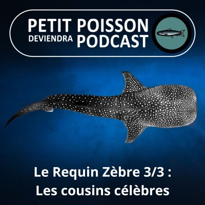 S02E30 Le Requin Zèbre 3/3 : Requin Baleine et Requin tapis, les autres stars de la famille ! cover