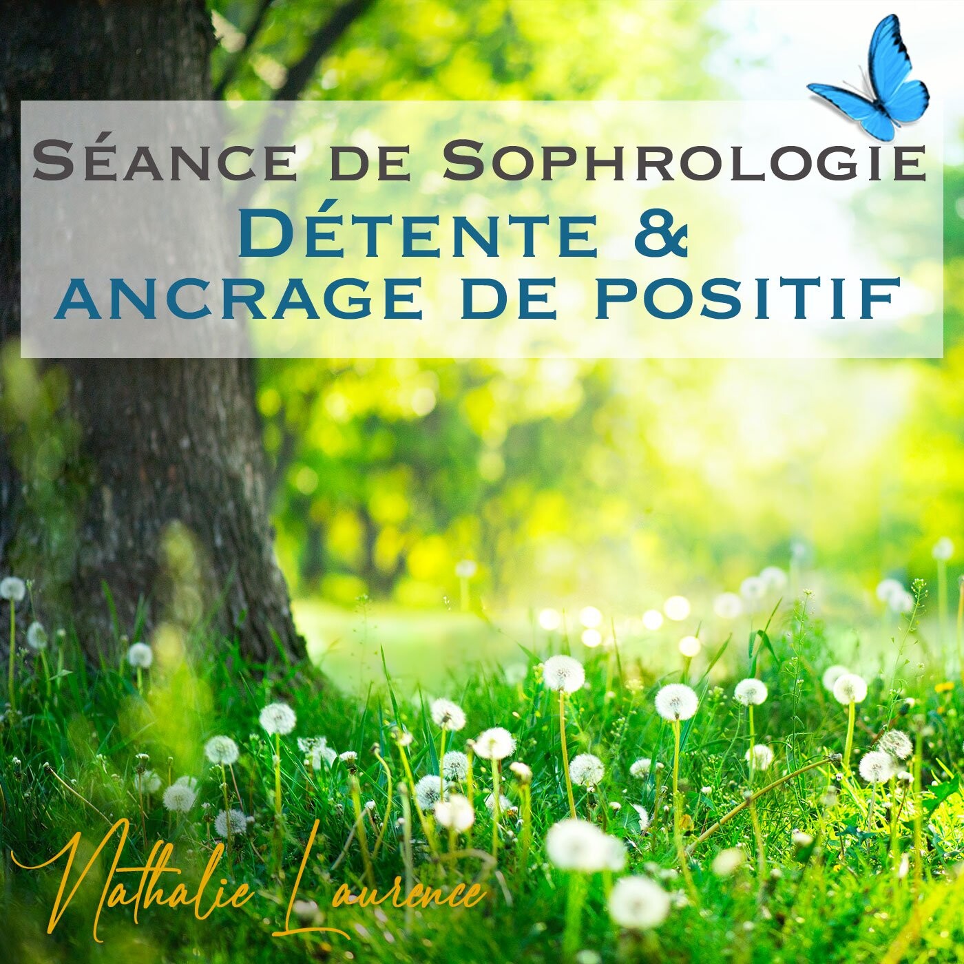 Podcast et Méditations par Nathalie LAURENCE