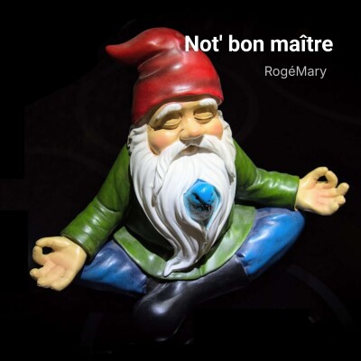 Not' bon maître - RogéMary cover
