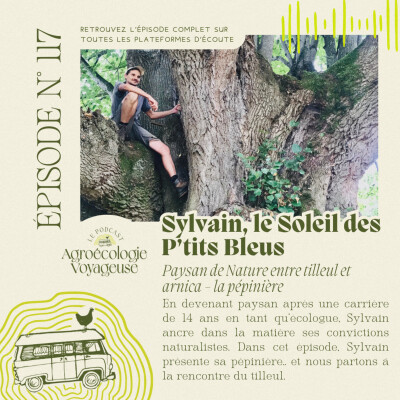 #117 Sylvain, Paysan-Écologue (2/3) Entre tilleul et arnica 🌼 Le Soleil des P'tits Bleus cover