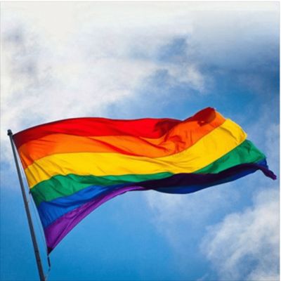 UNIVOX | Homophobie, et dans le sport ? cover