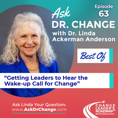 63. Best Of Ask Dr. Change - Getting Leaders to Hear the Wake Up Call for Change cover