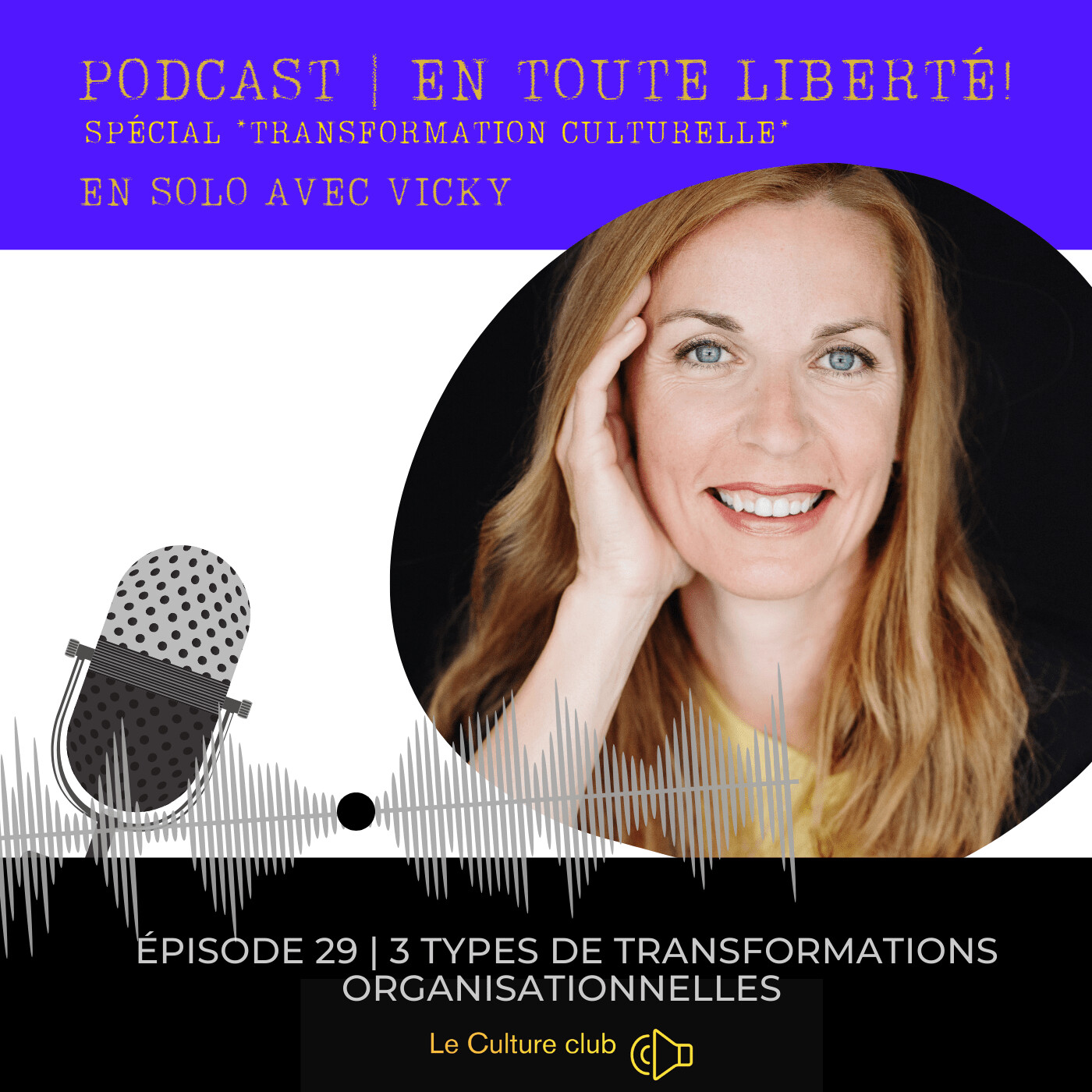 3 types de transformations organisationnelles | Épisode 29 episode artwork