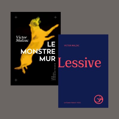 Victor Malzac - Le monstre mur - Lessive cover