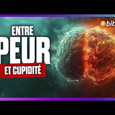 👀La manipulation du marché passe par tes émotions cover