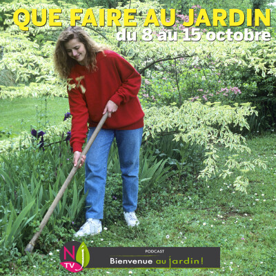 QUE FAIRE DANS LE JARDIN DU 8 AU 15 OCTOBRE ? cover