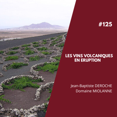 #125 - Les vins volcaniques en éruption cover