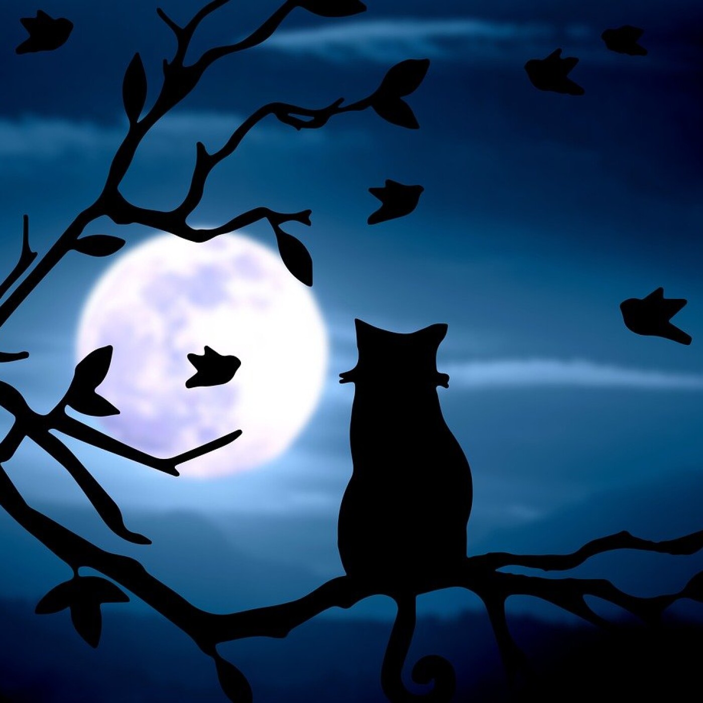 Pourquoi aime-t-on ? Maupassant sous insomnie cherche la réponse au cimetière de " La morte "