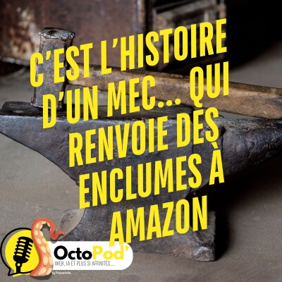 C'est l'histoire d'un mec qui renvoie des enclumes à Amazon... cover