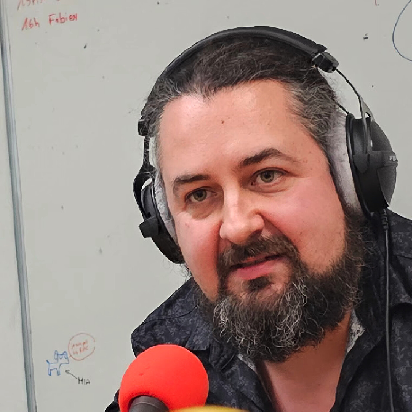 Julien Frigo, directeur de Kedi formation episode artwork