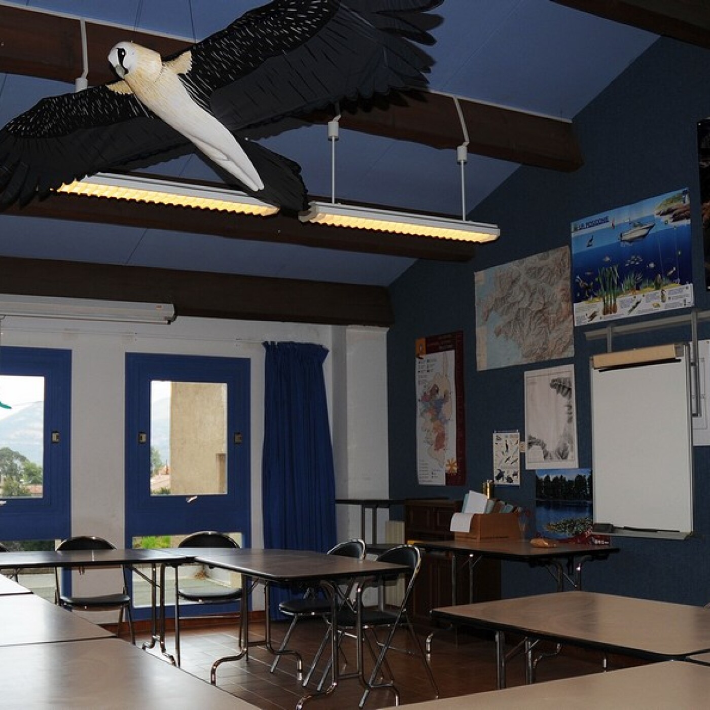 Les CE2 CM1 de l'école Charles bonafedi défis environnementaux à Galeria episode artwork