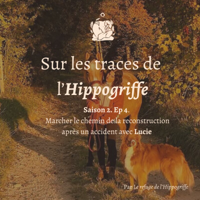 Saison 2. Ep.5 Marcher le chemin de la reconstruction après un accident avec Lucie cover
