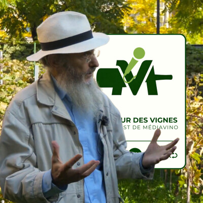 Île-de-France I Patrice Bersac I De la treille de vigne à l'IGP P.2 (Extrait) cover