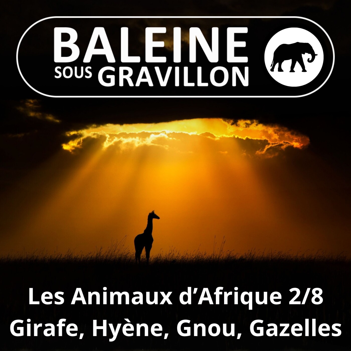 S02E75 Les Animaux d'Afrique 2/8 : Girafe, Hyène, Zèbre, Gnous et autres Antilopes... episode artwork