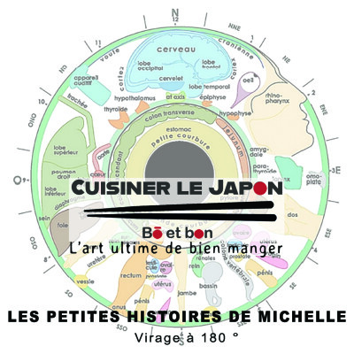 LES PETITES HISTOIRES DE MICHELLE - Virage à 180° cover
