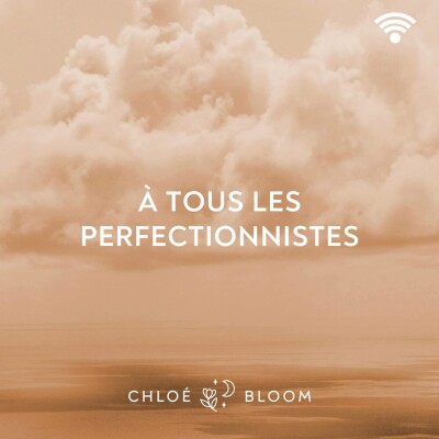À tous les perfectionnistes cover