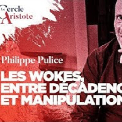 Les wokes entre décadence et manipulations - P. Pulice - # politique cover