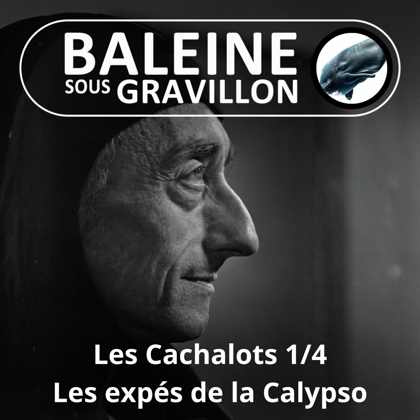 S02E14 Les Cachalots 1/4 : Les expéditions de la Calypso (François Sarano) episode artwork