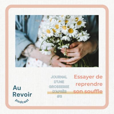 Journal d'une grossesse d'après #3 Le début du 2nd trimestre : essayer de reprendre son souffle cover
