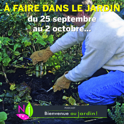 QUE FAIRE AU JARDIN DU 25 SEPTEMBRE AU 2 OCTOBRE cover