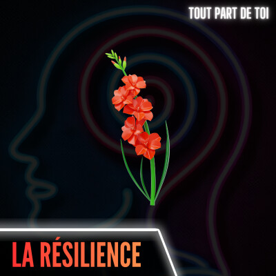 LA RÉSILIENCE : le secret derrière ce pouvoir que tout le monde convoite cover