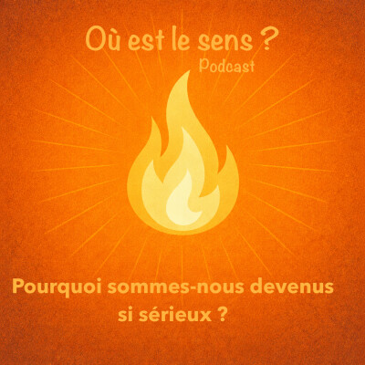 Pourquoi sommes-nous devenus si sérieux ? cover