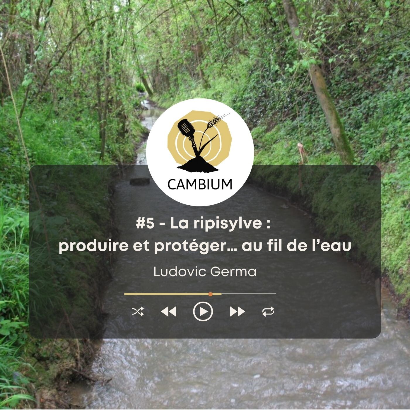 CAMBIUM, le podcast de l\'agroforesterie
