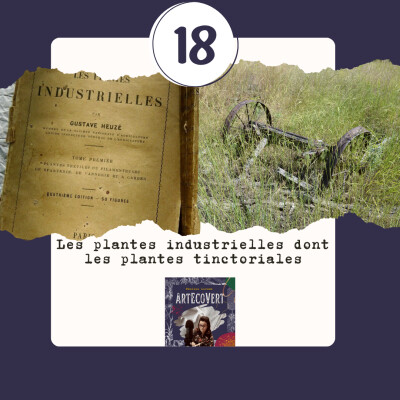 Les plantes industrielles dont les plantes tinctoriales : retour vers le futur cover