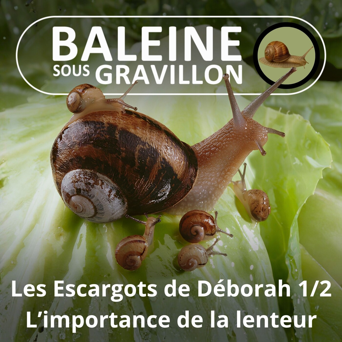 S02E31 L'escargot qui m'apprit l'importance de la lenteur 1/2 (Déborah Hamon, hélicicultrice) episode artwork